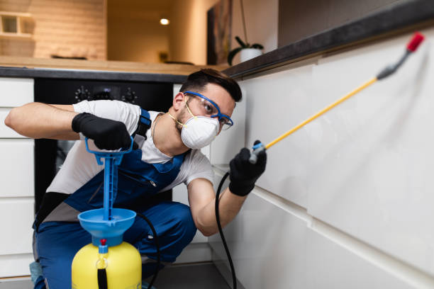 Best Exterminator Services  in Winder, GA