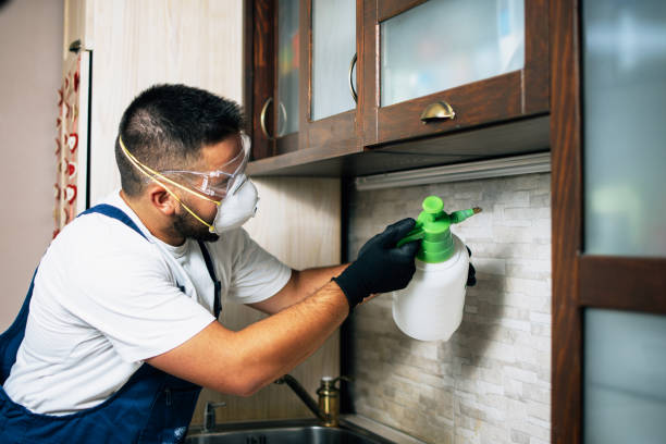 Best Commercial Pest Control Services  in Winder, GA