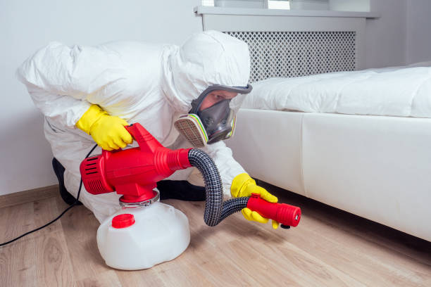Best Local Pest Control Services  in Winder, GA
