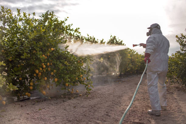 Best Cockroach Control Services  in Winder, GA