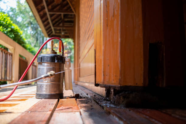 Best Insect Control  in Winder, GA