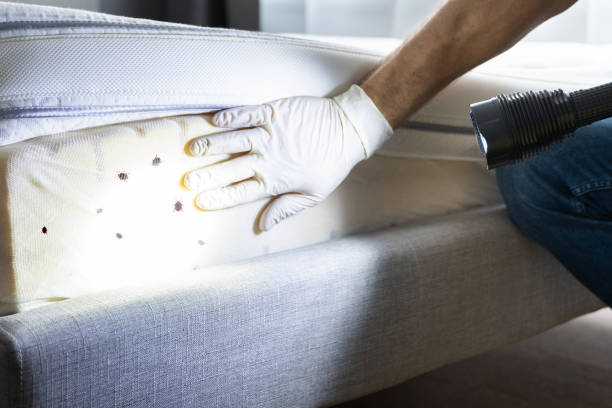 Best Best Pest Control Companies  in Winder, GA