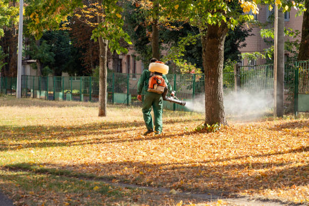 Reliable Winder, GA Pest Control Solutions