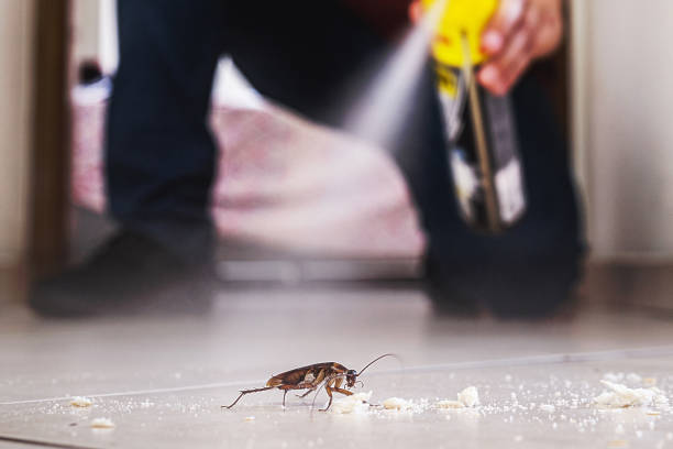 Best Best Pest Control Companies  in Winder, GA